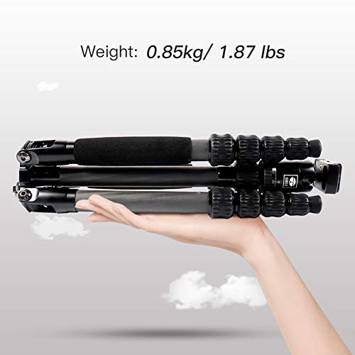 Compact Traveler 5C Tripod 54.3 inches Lightweight Carbon Fiber Travel Tripod for Camera with 360° Panorama Ball Head for Arca Swiss Quick Release Plate (Carbon Tripod 5C)