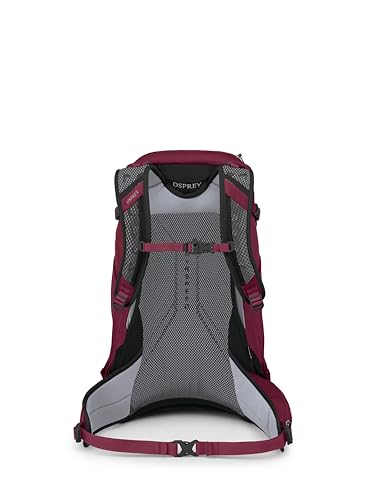 Hikelite 28L Lightweight Hiking Backpack (Medium-Large / Chameleon/Black)