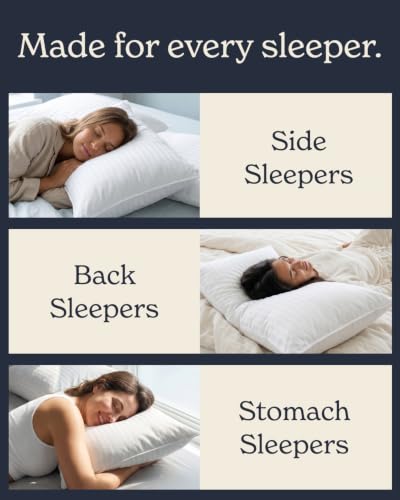 Bed Pillows King Size Set of 2 (King / White)