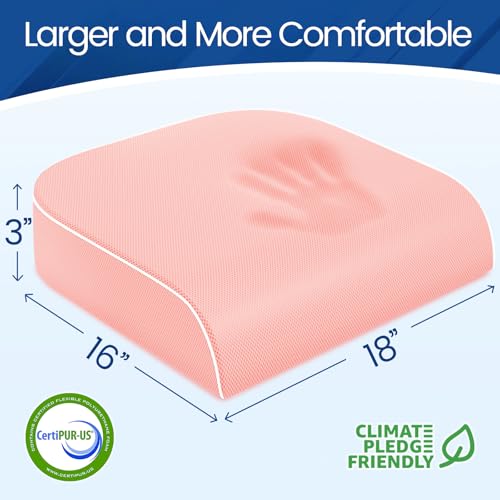 Seat Cushion Chair Pad (Pink / Large)