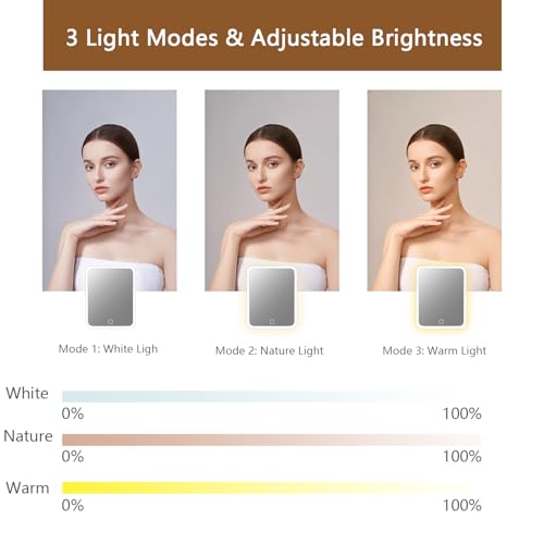 Makeup Bag with Led Mirror (Brown / with LED mirror and a 10x mirror)