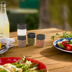 Outdoor 4 Piece Spice Shaker Set (Shaker Set)