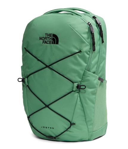Jester Everyday Laptop Backpack (One Size / Dimmed Algae/Tnf Black)