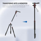 Basics Camera Tripod Monopod (TP08)