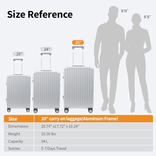26 Inch Checked Luggage with Spinner Wheels (Silvery / 26inch)