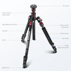 Basics TP15 Camera Tripod Monopod (TP15)