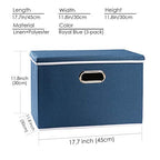 Large Collapsible Storage Bins with Lids [3 (Royal Blue / L(3-Pack))