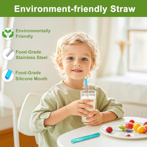 Collapsible Reusable Metal Straws (Black-Blue-Rose Gold-Turquoise-Red-Silver)