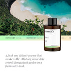 Bali Aroma Oil Refill for Diffusers (3.38 Fl Oz (Pack of 1))