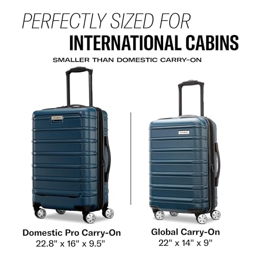 Omni 2 Airline Approved Carry (Carry-on Spinner / Arctic Silver)