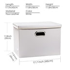 Large Collapsible Storage Box with Lid [1 (White / Large(1-Pack))