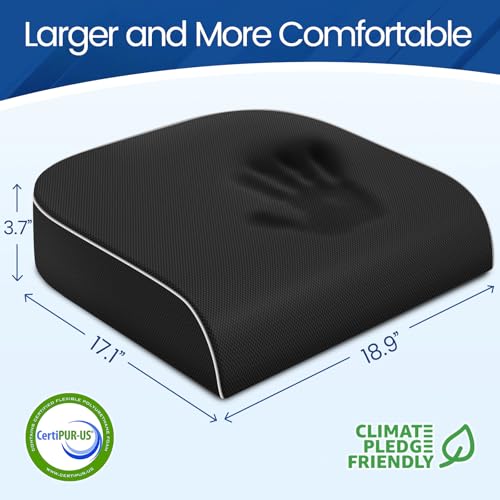 Seat Cushion Chair Pad (Black / 2X-Large)