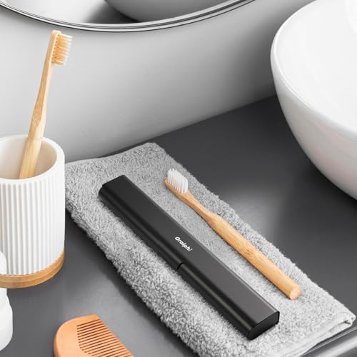 Aluminum Toothbrush Travel Case (Black / 1 Pack (Standard))