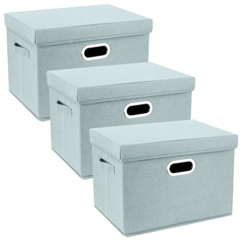Large Storage Bins with Lids (3-Pack Large / Auqa Spring)