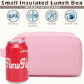 Small Insulated Lunch box Portable Soft Bag Mini Cooler Thermal Meal Tote Kit with Buckle for Work (PinkWithBuckle)