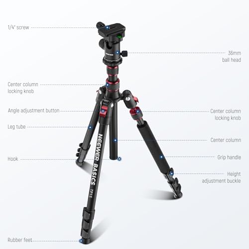 Basics Camera Tripod Monopod (TP15 w/Ball Head)
