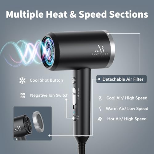 Ionic Hair Dryer with Diffuser (Sliver/Matte Black)