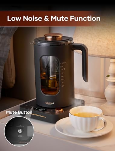 Electric Tea Kettle with Infuser (Dark Gray)