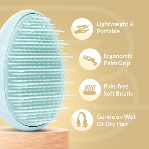 Travel Hairbrush (Aquamarine)