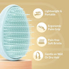 Travel Hairbrush (Aquamarine)