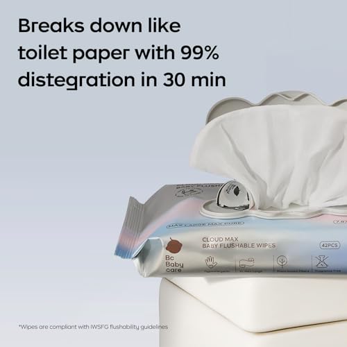 Cloud Max Flushable Wipes (42 Count (Pack of 8))