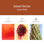 Home Scent Diffuser Refills (Refills)