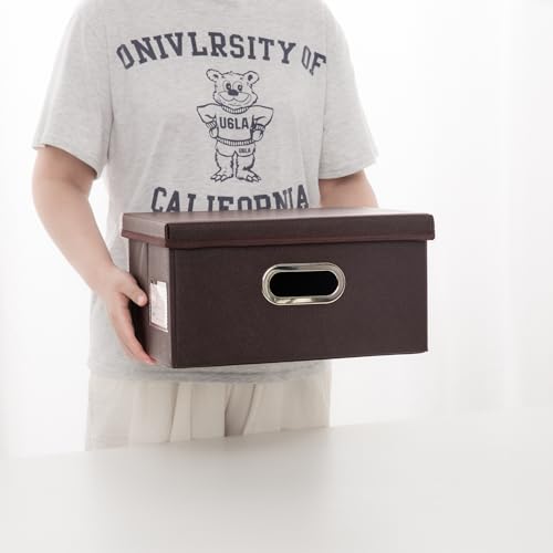 Collapsible Storage Box with Lid [3 (Brown / Small(3-Pack))
