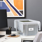 Hanging File Folder Box (Clear)