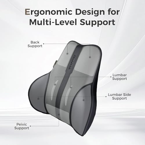 Lumbar Support Pillow for Car (Blackgray)