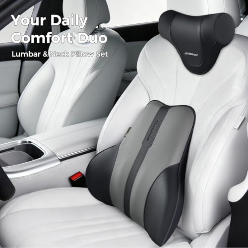 Lumbar Support Pillow for Car (Blackgray)