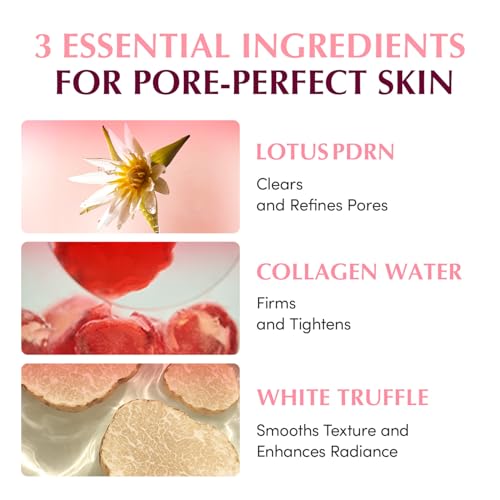 Collagen Pore