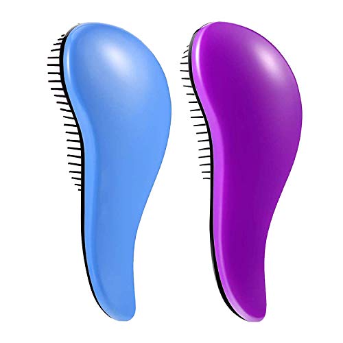 Detangling Hairbrush Detangler 2 Pack for Adults & Kids (2 Pack / Blue&Purple)