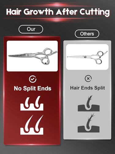Hair Cutting Scissors Professional (Zebra Style / 5.5 inches)