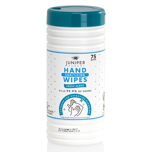 4 Pack Hand Sanitizing Wipes (75 Count (Pack of 4))
