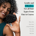 2 Pack Large Scalp Massager Scrubber Shampoo Brush for Hair Growth (Purple & Black)