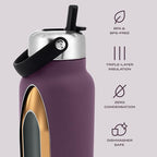 Recycled Stainless Steel Explorer with Flip Straw Lid (Plum / 32 Ounces)