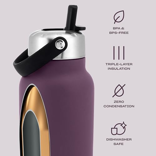 Recycled Stainless Steel Explorer with Flip Straw Lid (Plum / 32 Ounces)