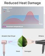 Hair Dryer High (Pink)