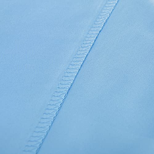 Toddler Pillows with Pillowcases Set (Sky Blue (Microfiber) / 13x18 Inch (Pack of 2))