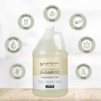 Club & Fitness Shampoo (128 Fl Oz (Pack of 4))