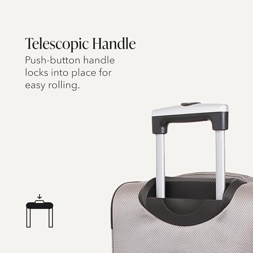 Sion Softside Expandable Luggage (Checked-Large 29-Inch / Pewter)