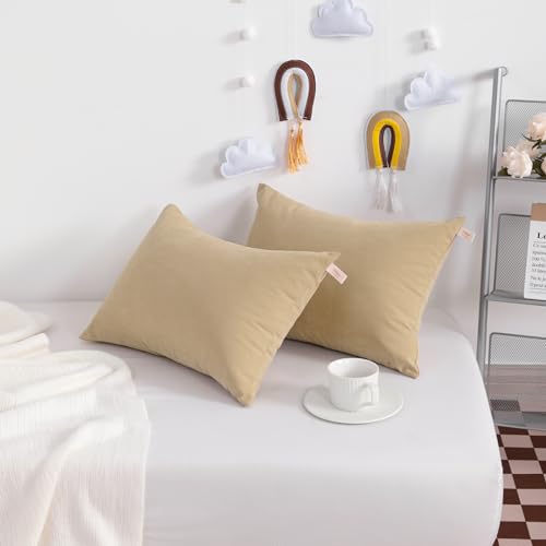 Tiny Pillows Set of 2 (Light Taupe / 11"x7")