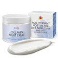 Collagen Night Cream