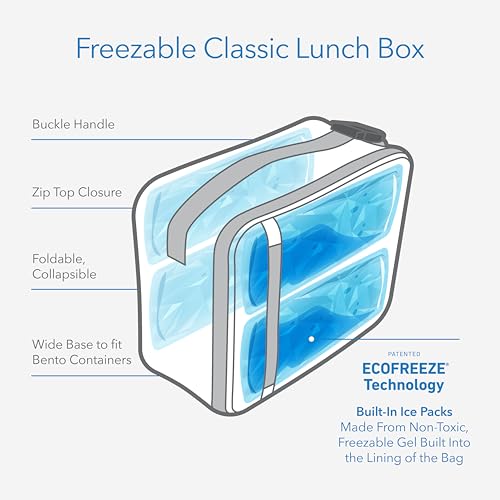 Freezable Classic Lunch Box (Checked Out)