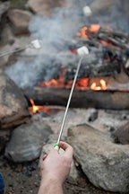 Smores Sticks for Fire Pit (10 Fork Set with Storage Bag)