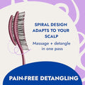 Detangling Hair Brush (Plum / Regular)