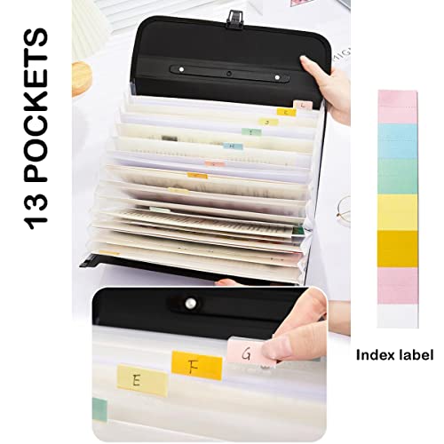 2 Pack Extra Large Legal Size (Legal Size & Foolscap / 12 Pockets,1 of Each Black and Blue)