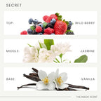 Secret Diffuser Oil Scents for Home (4 Fl Oz (Pack of 1))