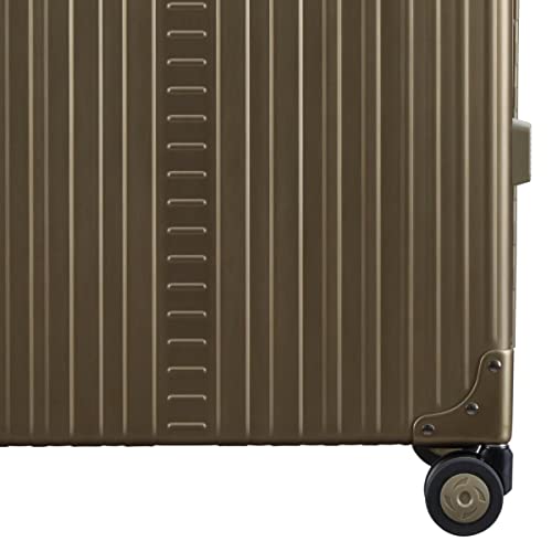 26" Aluminum Lighweight Carry (26 Inches / Platinum)