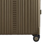 26" Aluminum Lighweight Carry (26 Inches / Platinum)